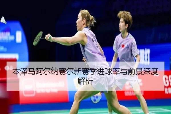 本泽马阿尔纳赛尔新赛季进球率与前景深度解析 - pandasports